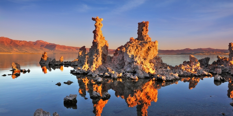 5 внеземных форм жизни, возможных с научной точки зрения