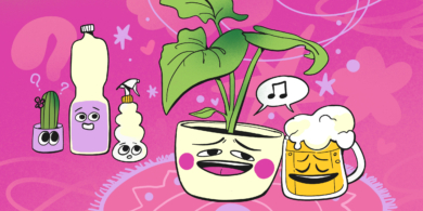 Можно ли поливать комнатные цветы пивом