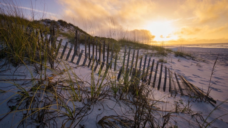 Основные техники Lightroom для съемки на открытом воздухе