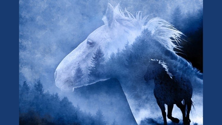 Основы работы в Photoshop для фотографов: как редактировать фотографии на профессиональном уровне.